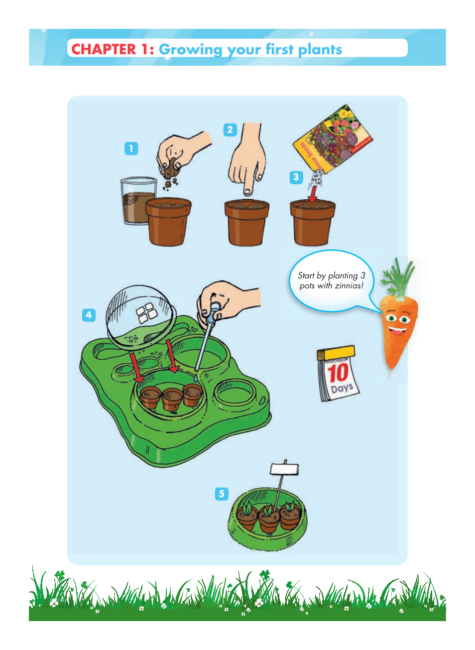 Chapter, Growing your first plants | Carolina Botany Experimental Greenhouse User Manual | Page 5 / 6