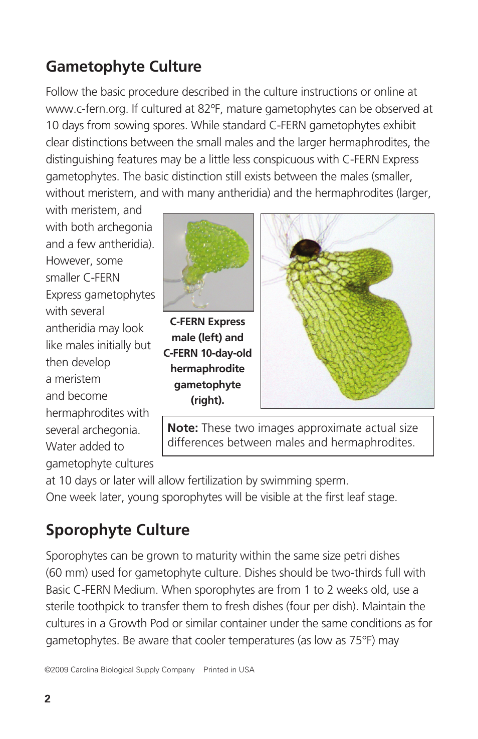 Gametophyte culture, Sporophyte culture | Carolina C-FERN Express Extended Culture User Manual | Page 2 / 4