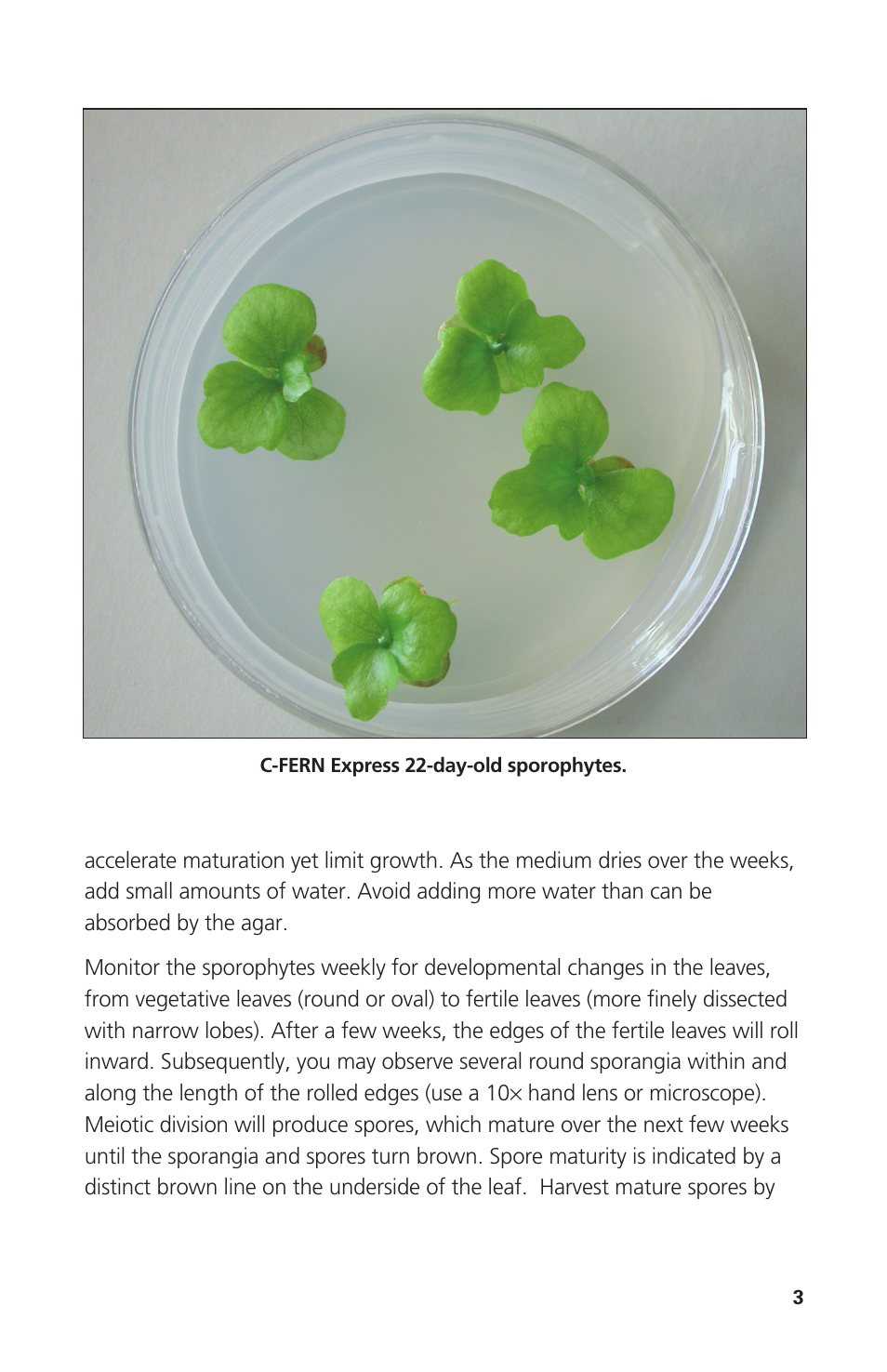 Carolina C-FERN Express Extended Culture User Manual | Page 3 / 4