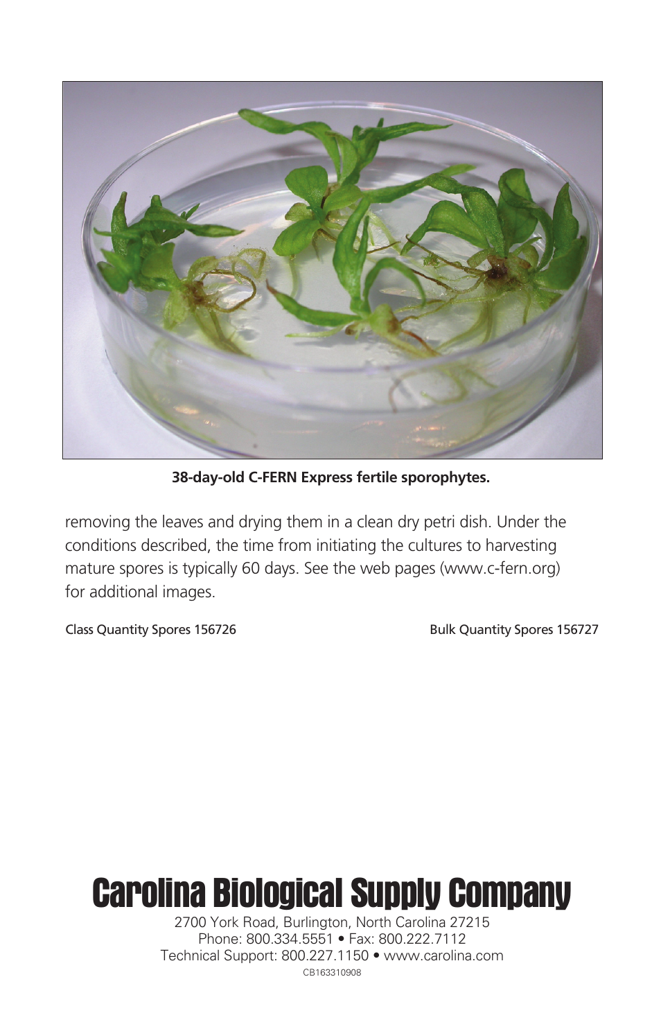 Carolina biological supply company | Carolina C-FERN Express Extended Culture User Manual | Page 4 / 4