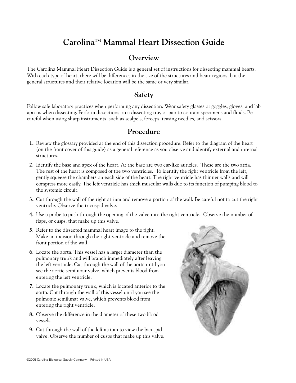 Carolina, Overview, Safety | Procedure | Carolina Mammal Heart Dissection Guide User Manual | Page 2 / 4