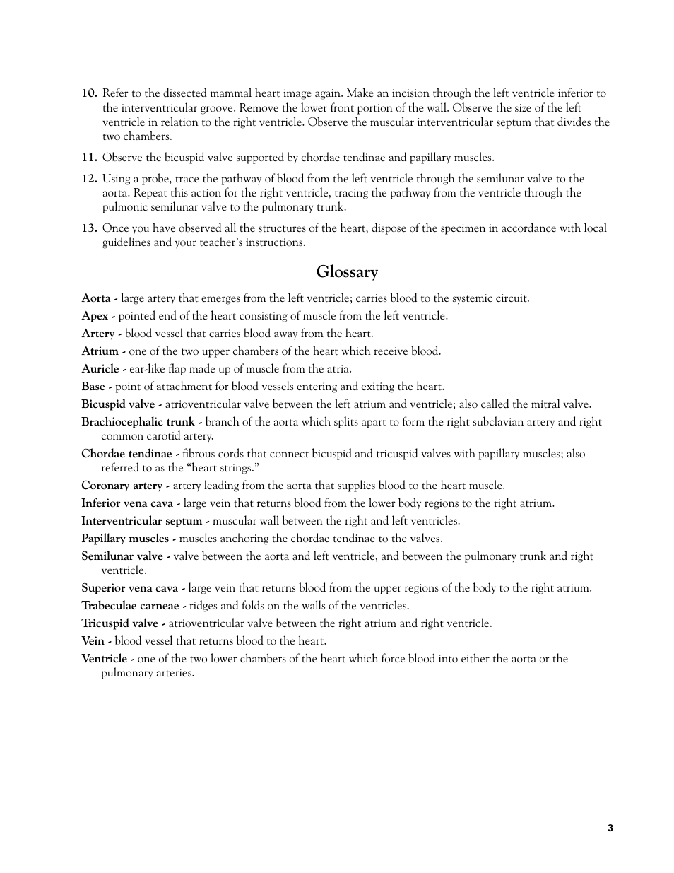 Glossary | Carolina Mammal Heart Dissection Guide User Manual | Page 3 / 4