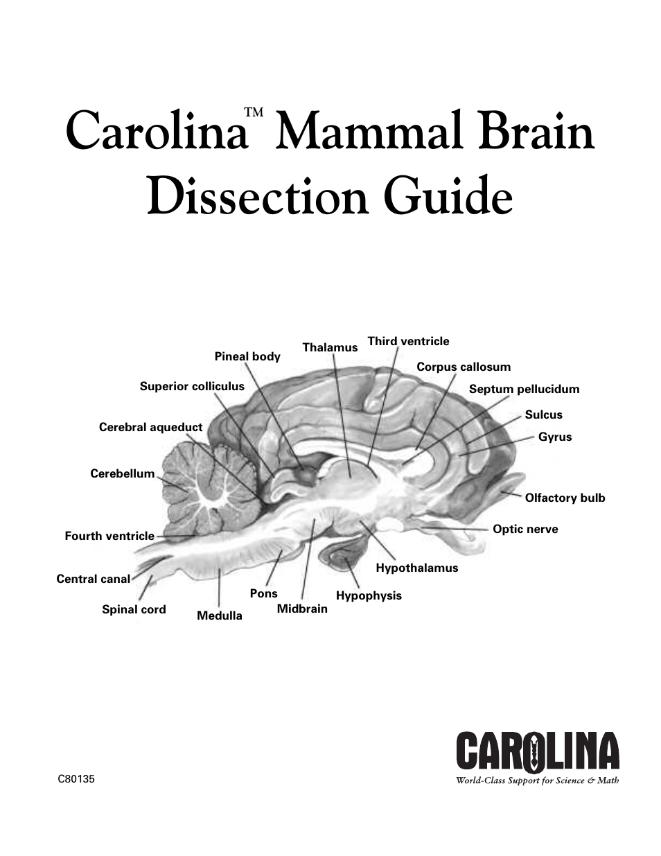 Carolina Mammal Brain Dissection Guide User Manual | 7 pages