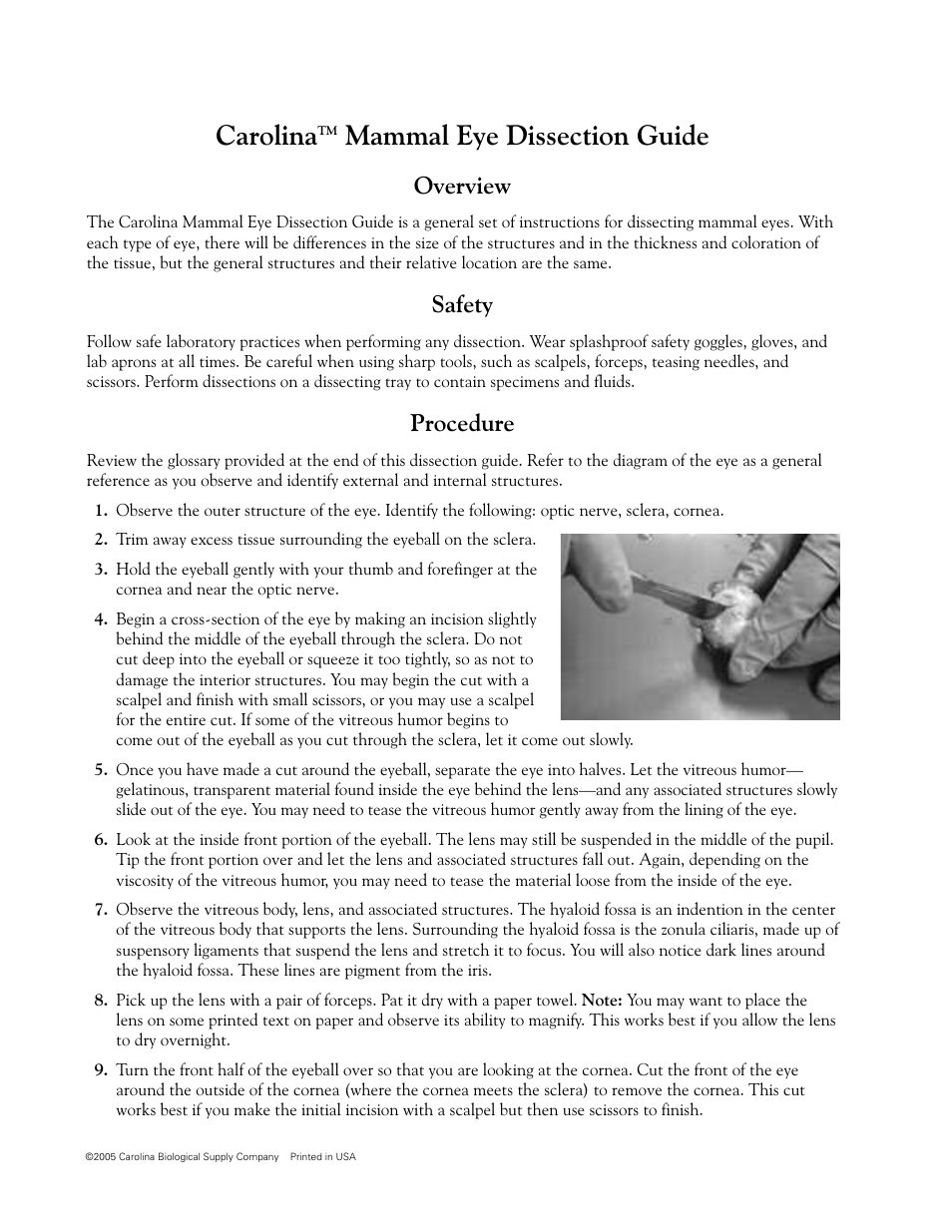 Carolina, Overview, Safety | Procedure | Carolina Mammal Eye Dissection Guide User Manual | Page 2 / 4