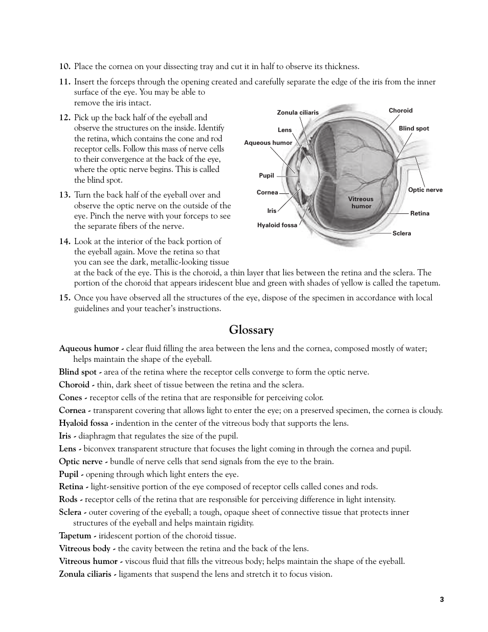 Glossary | Carolina Mammal Eye Dissection Guide User Manual | Page 3 / 4