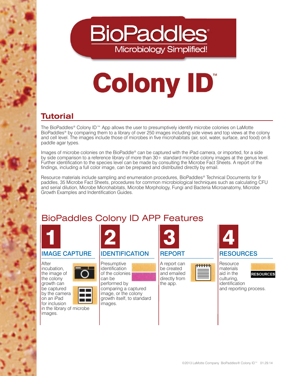 Carolina BioPaddles Colony ID App User Manual | 6 pages