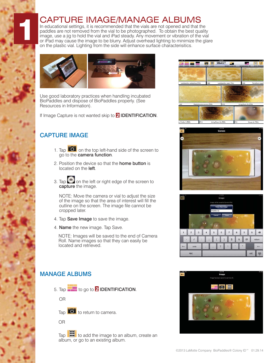 Capture image/manage albums, Capture image, Manage albums | Carolina BioPaddles Colony ID App User Manual | Page 2 / 6