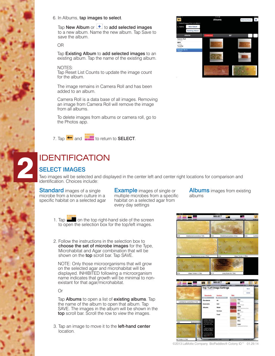Identification | Carolina BioPaddles Colony ID App User Manual | Page 3 / 6
