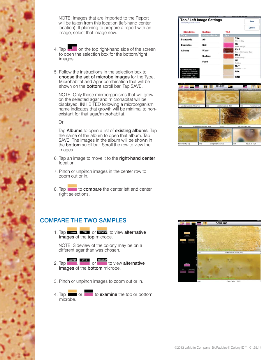Compare the two samples | Carolina BioPaddles Colony ID App User Manual | Page 4 / 6
