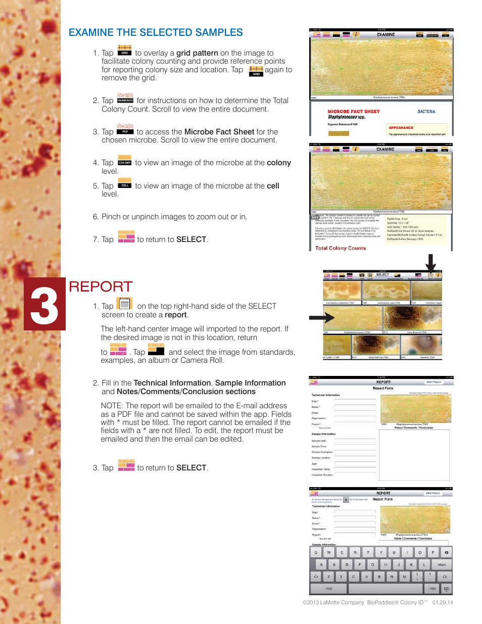 Report | Carolina BioPaddles Colony ID App User Manual | Page 5 / 6