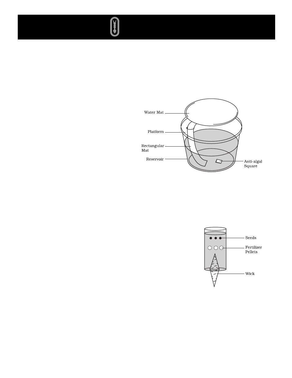 Carolina Wisconsin Fast Plants Student Kit User Manual | 1 page