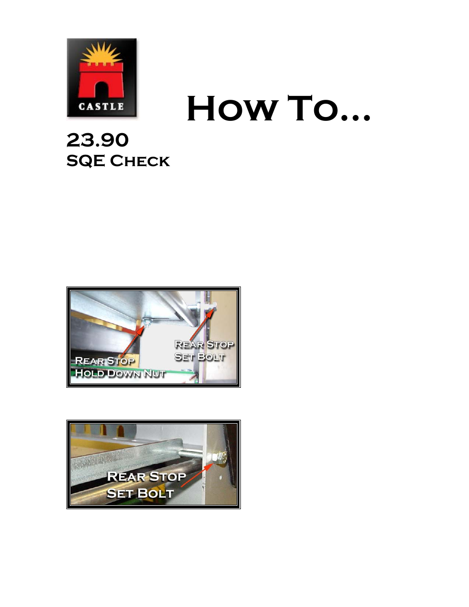 How to, Sqe check | Castle LB-23 Diagnostics Manual User Manual | Page 27 / 30
