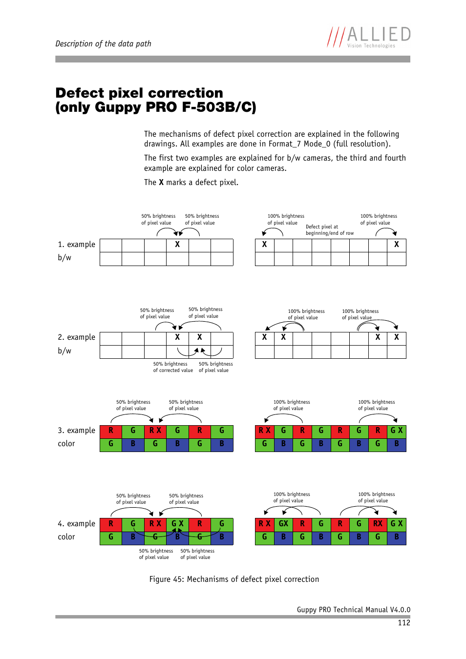 Defect pixel correction (only guppy pro f-503b/c), Defect pixel correction, Only guppy pro f-503b/c) | ALLIED Vision Technologies Guppy PRO F-503 User Manual | Page 114 / 283