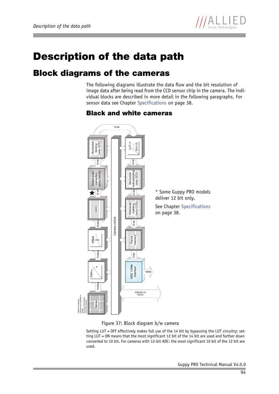 Description of the data path, Block diagrams of the cameras, Black and white cameras | Chapter, Figure 37: block diagram b/w camera, Guppy pro technical manual v4.0.0 | ALLIED Vision Technologies Guppy PRO F-503 User Manual | Page 96 / 283