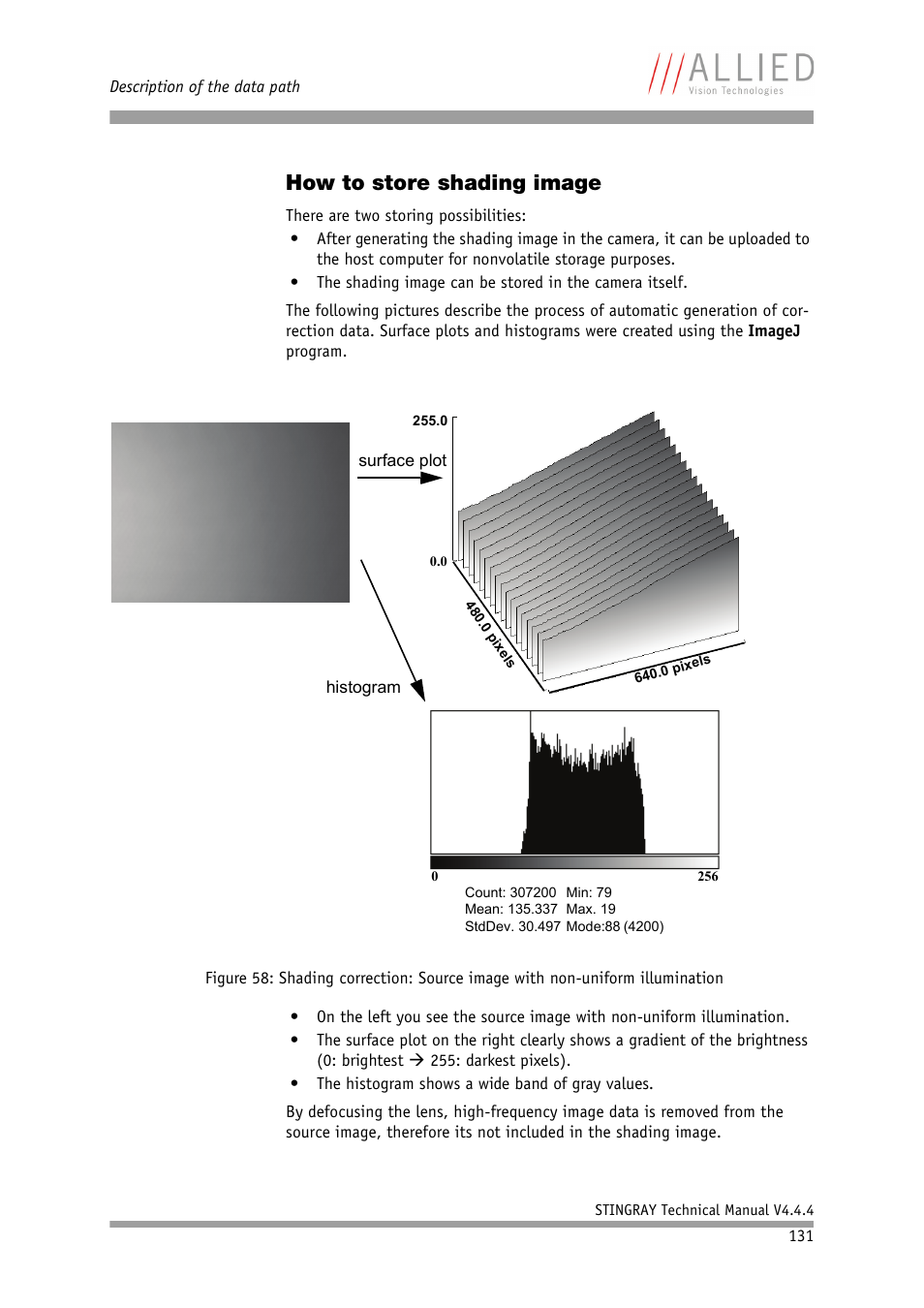 How to store shading image | ALLIED Vision Technologies Stingray F-504 User Manual | Page 133 / 355