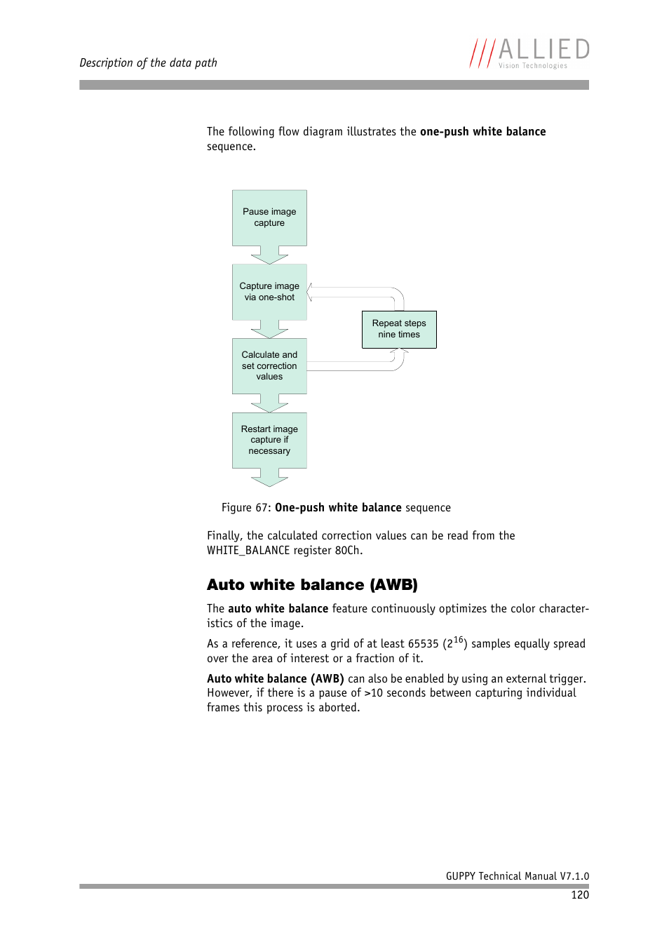 Auto white balance (awb), Auto white balance | ALLIED Vision Technologies Guppy F-503 User Manual | Page 120 / 293