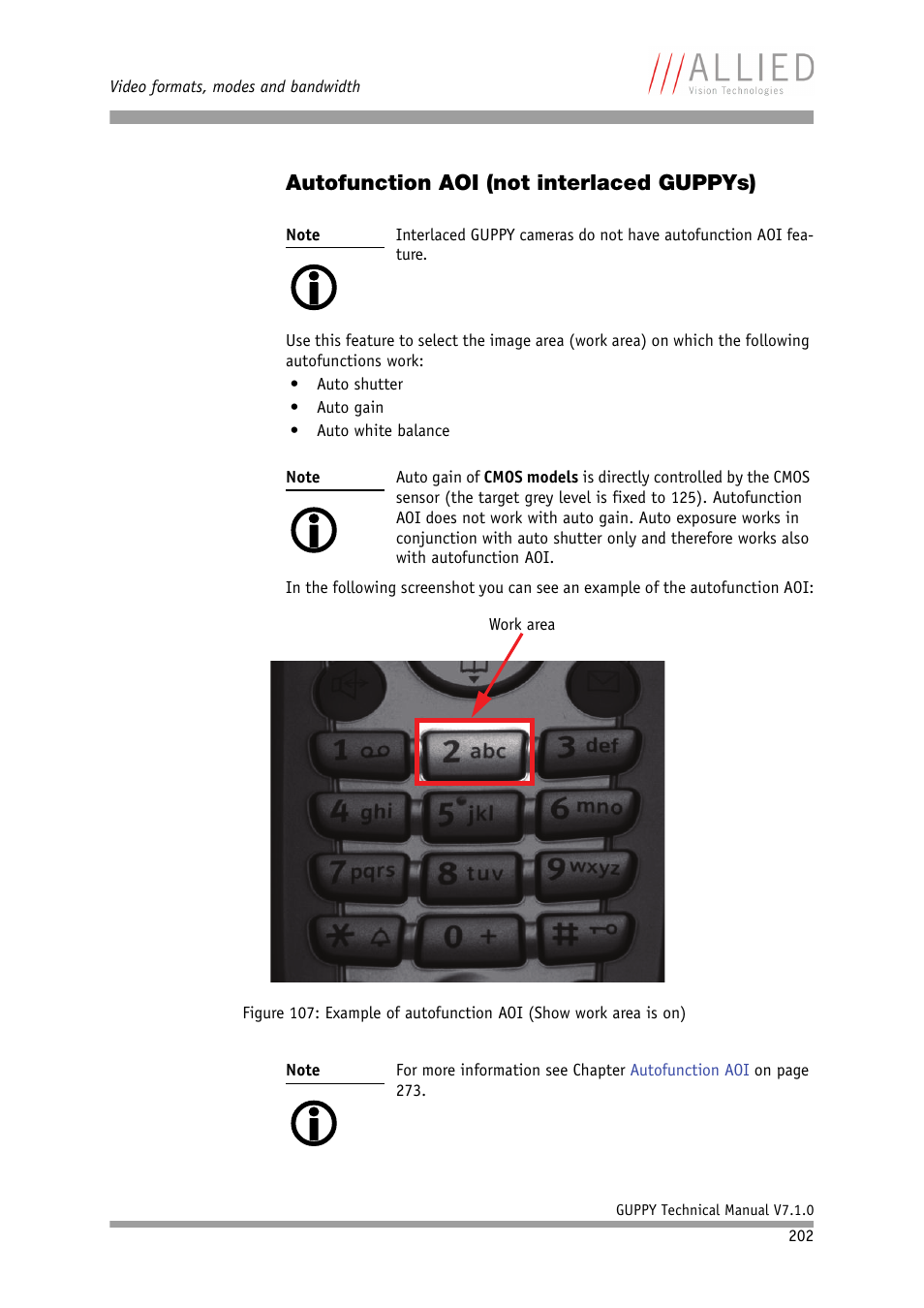 Autofunction aoi (not interlaced guppys) | ALLIED Vision Technologies Guppy F-503 User Manual | Page 202 / 293