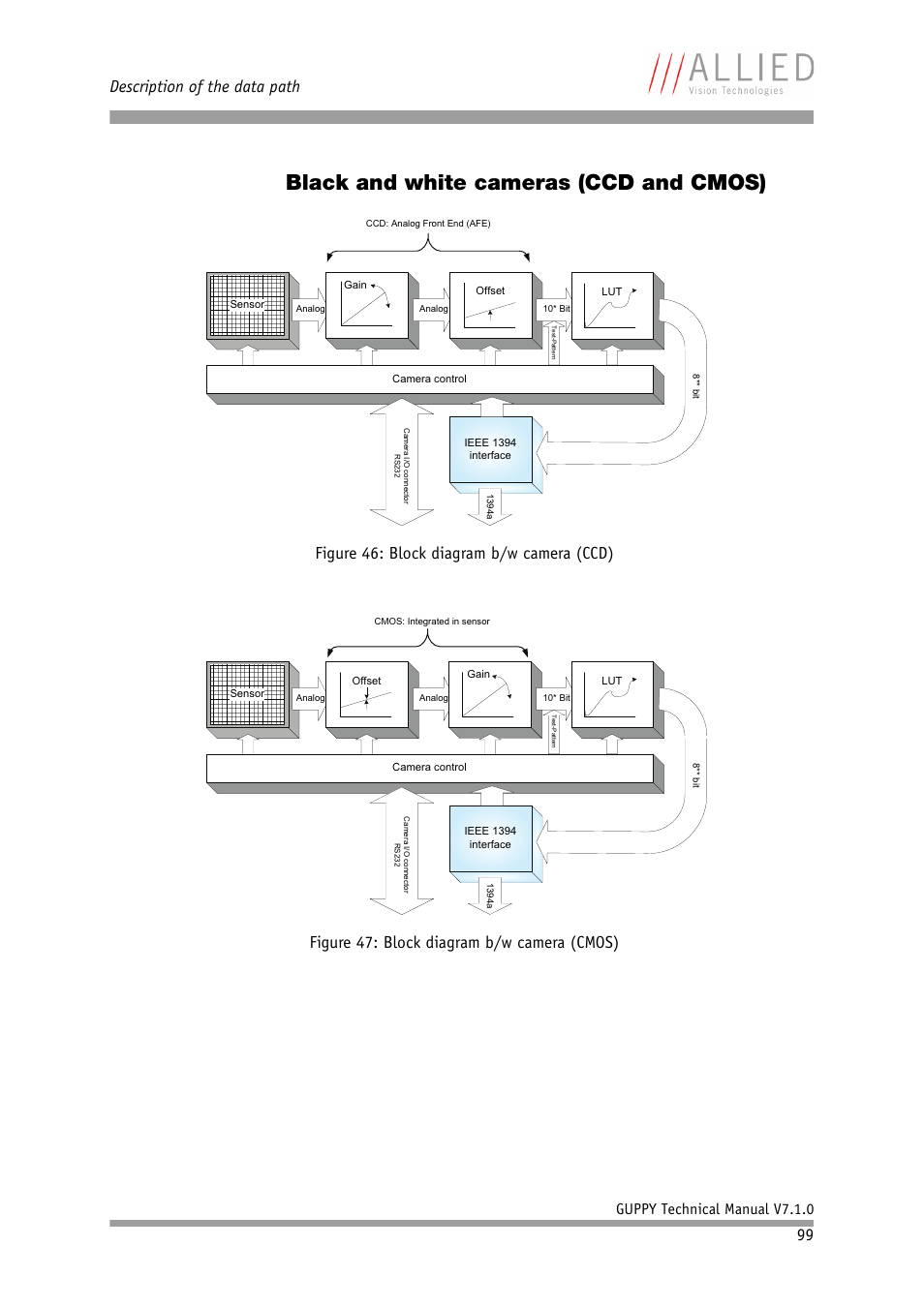 Black and white cameras (ccd and cmos), Description of the data path, Guppy technical manual v7.1.0 | ALLIED Vision Technologies Guppy F-503 User Manual | Page 99 / 293