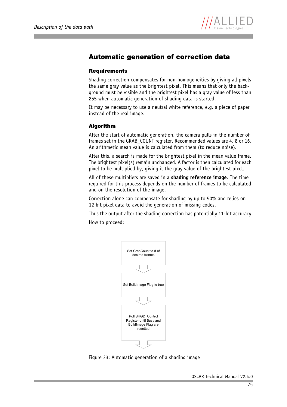 Automatic generation of correction data, Requirements, Algorithm | Requirements algorithm | ALLIED Vision Technologies Oscar F-810 User Manual | Page 75 / 212