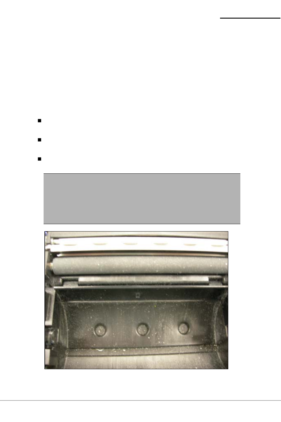 Cleaning guidelines | Datamax-O'Neil microFlash 2te User Guide User Manual | Page 9 / 26