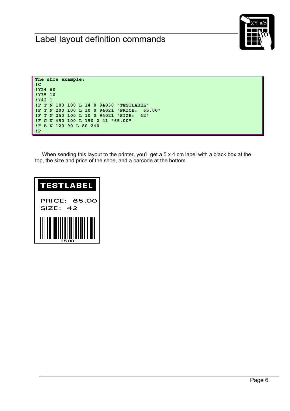 Datamax-O'Neil Labelpoint Programmer’s Manual User Manual | Page 10 / 95