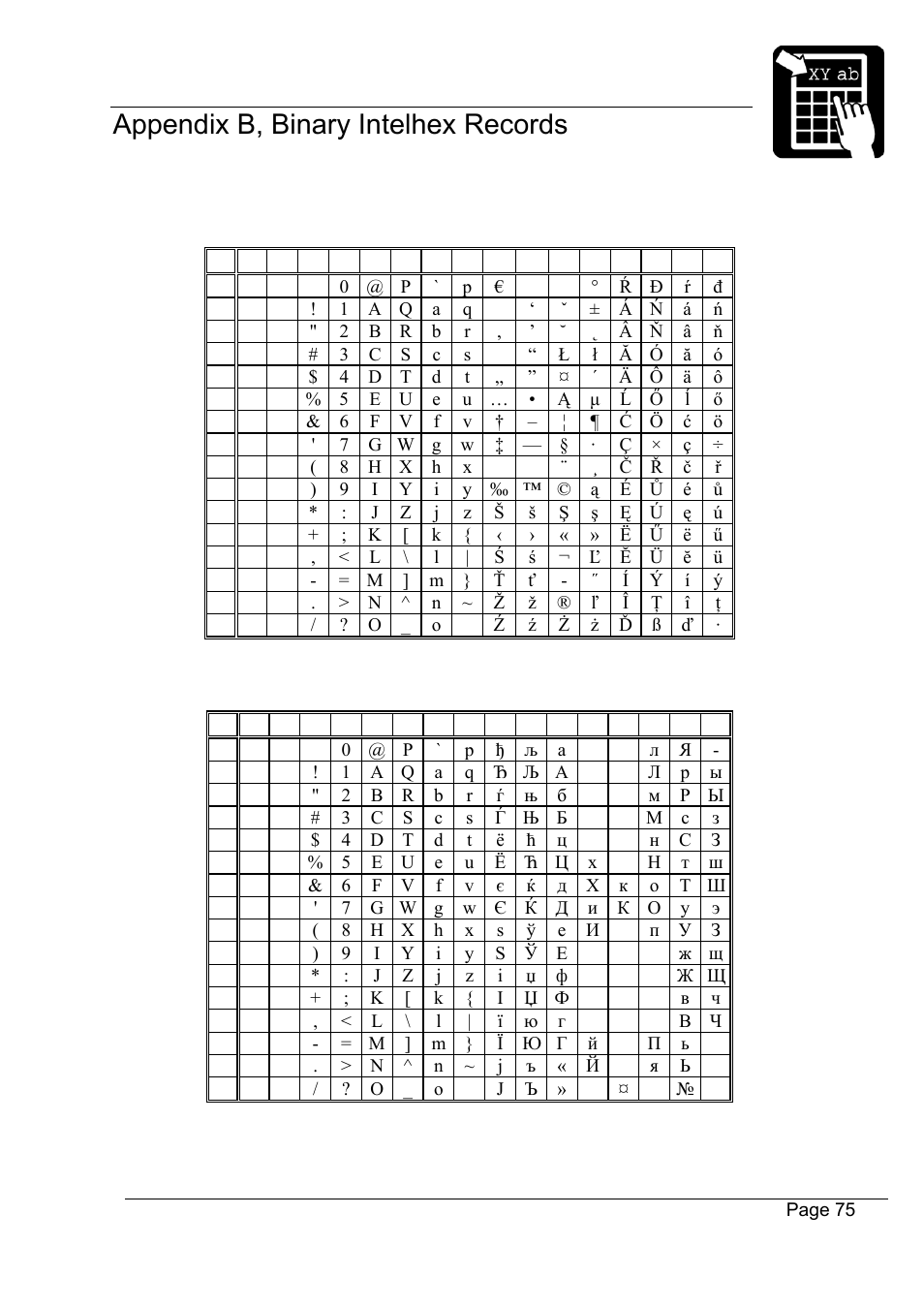 Datamax-O'Neil Labelpoint Programmer’s Manual User Manual | Page 79 / 95