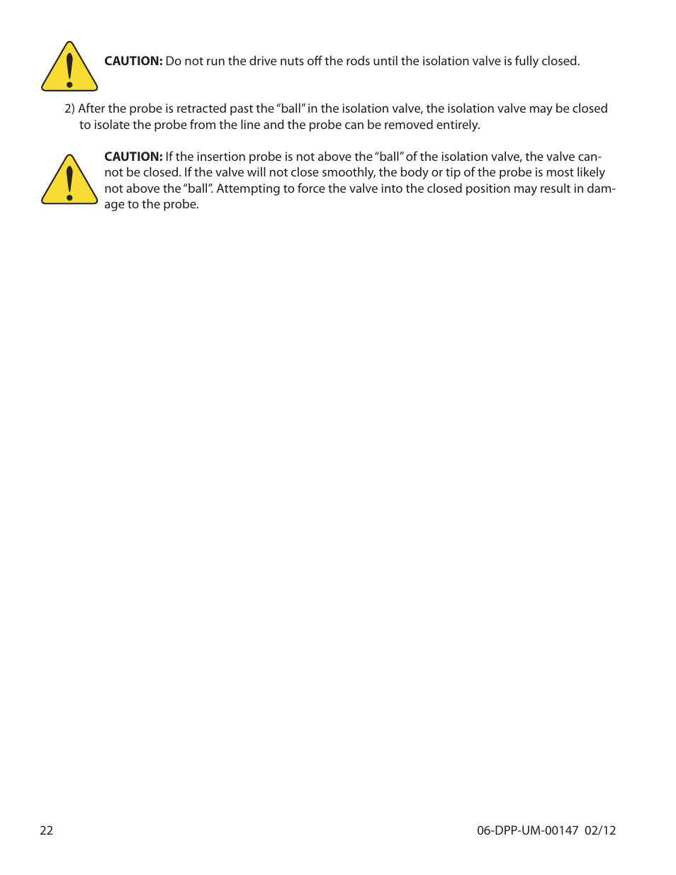 Dynasonics DDFXD Doppler Ultrasonic Flow Meter User Manual | Page 22 / 65