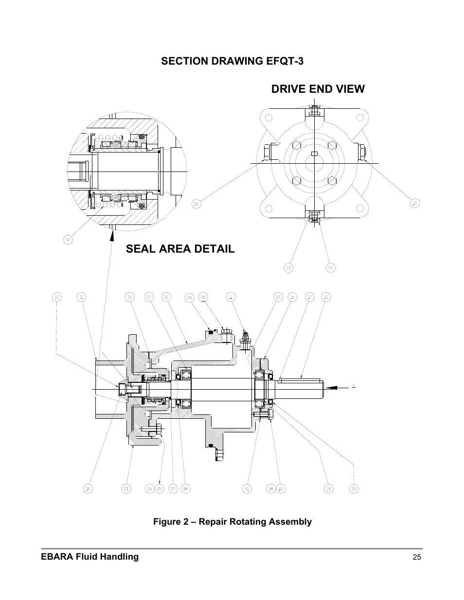 Drive end view seal area detail | EBARA EFQT3 User Manual | Page 25 / 36