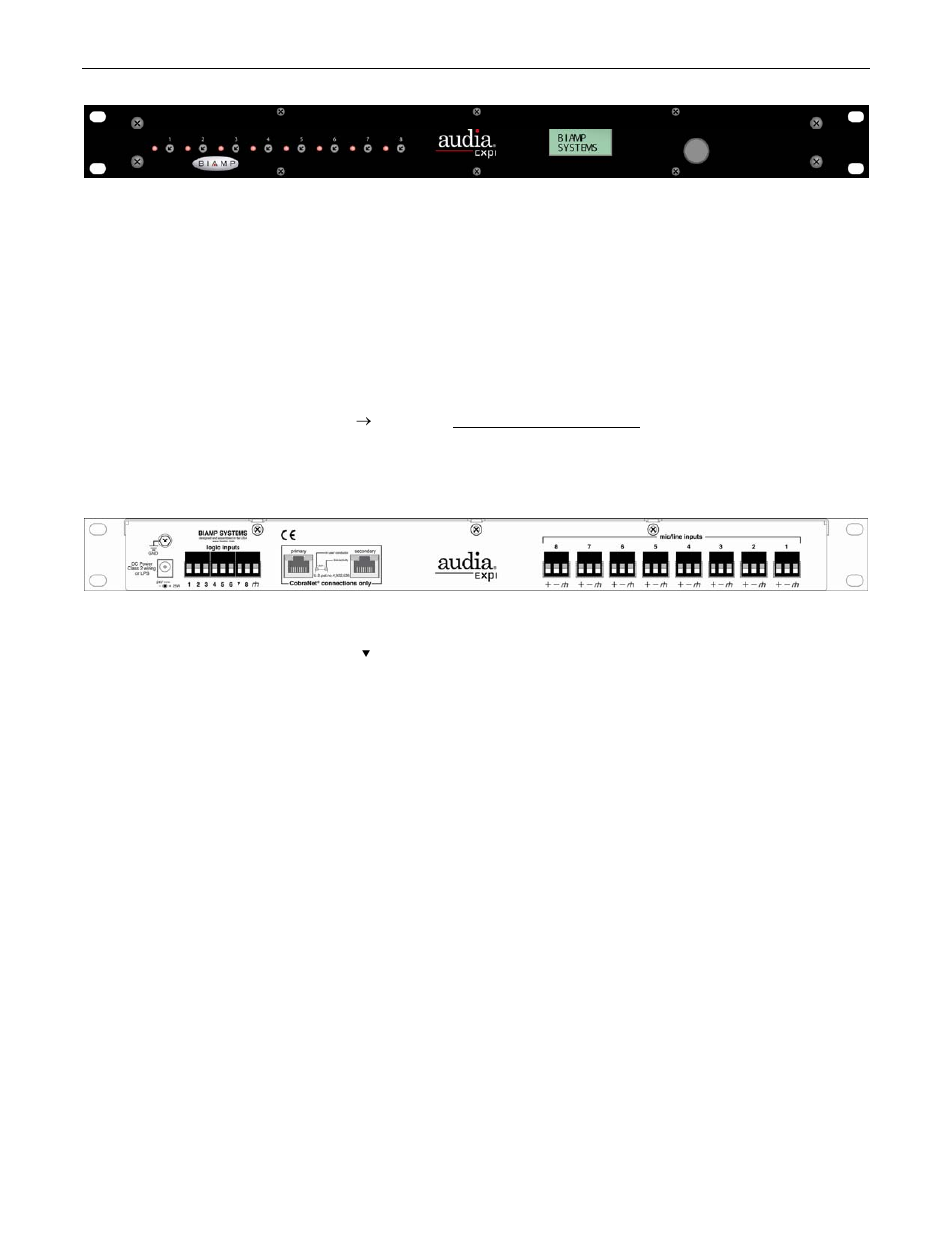 Biamp AudiaEXPO User Manual | Page 4 / 21
