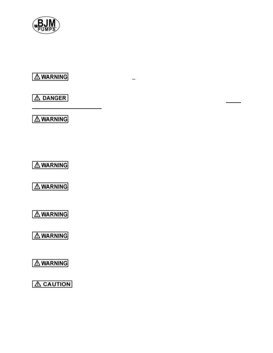 Safety | BJM Pumps JX SERIES SIDE DISCHARGE Electric Submersible Pumps User Manual | Page 5 / 42