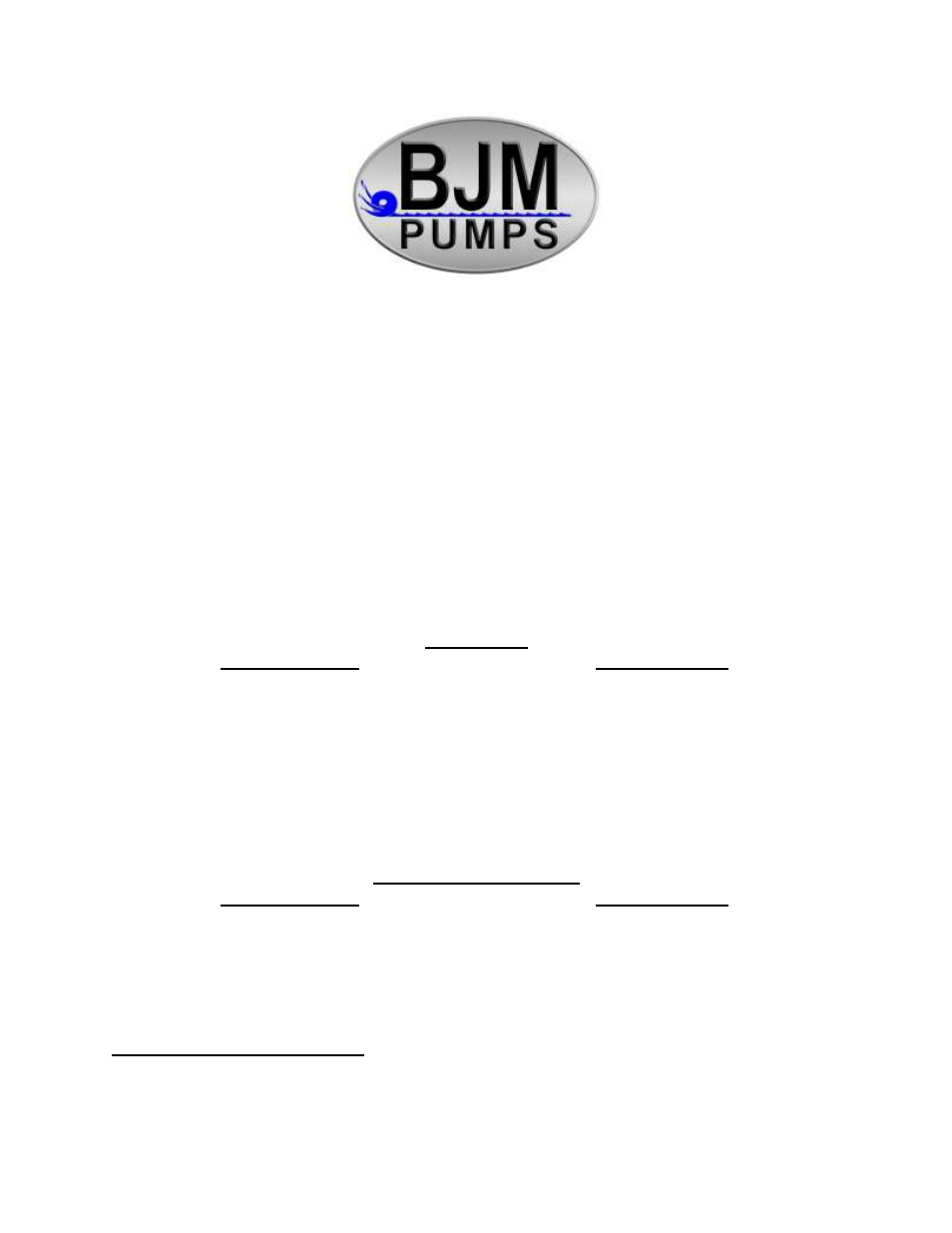 BJM Pumps RX15SS-575T User Manual | 33 pages