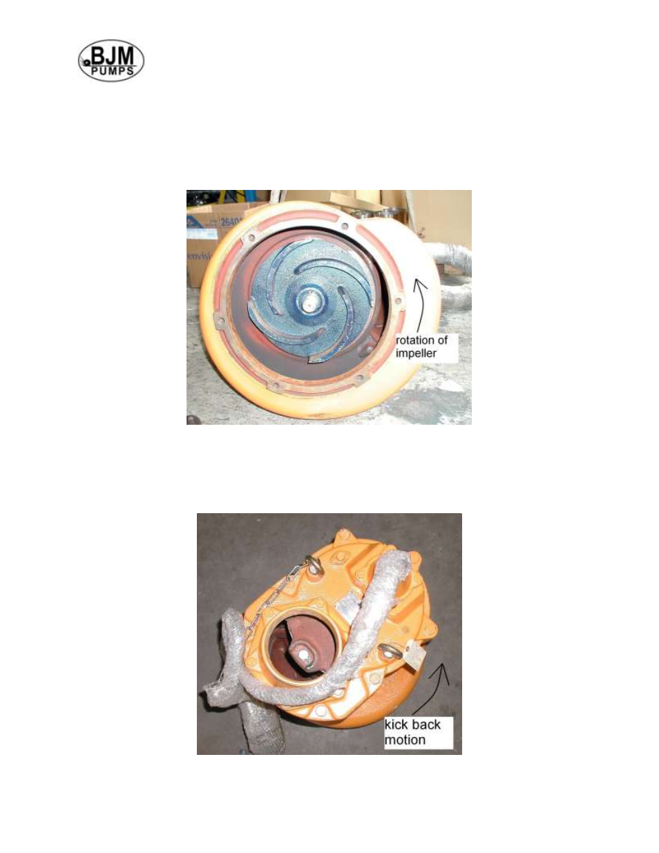 Pump rotation | BJM Pumps RX15SS-575T User Manual | Page 8 / 33