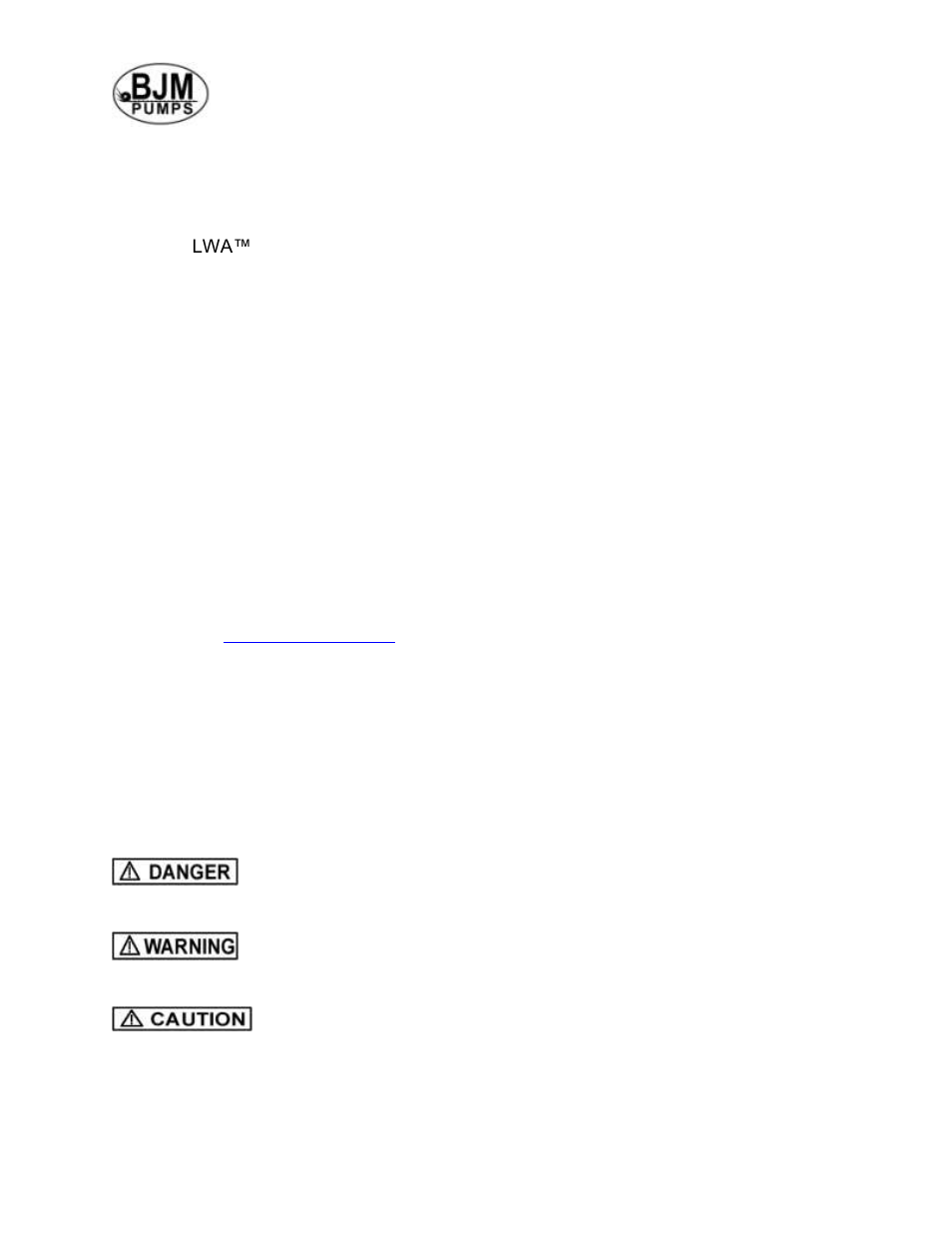 Introduction | BJM Pumps LWA75H-575T User Manual | Page 4 / 36