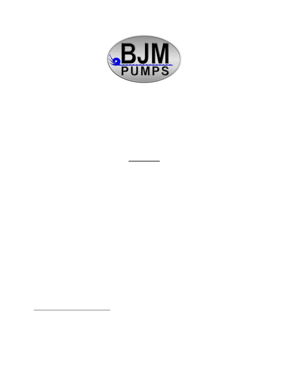 BJM Pumps KZN (R) SERIES HEAVY DUTY AGITATOR TOP DISCHARGE Electric Submersible Pumps User Manual | 33 pages