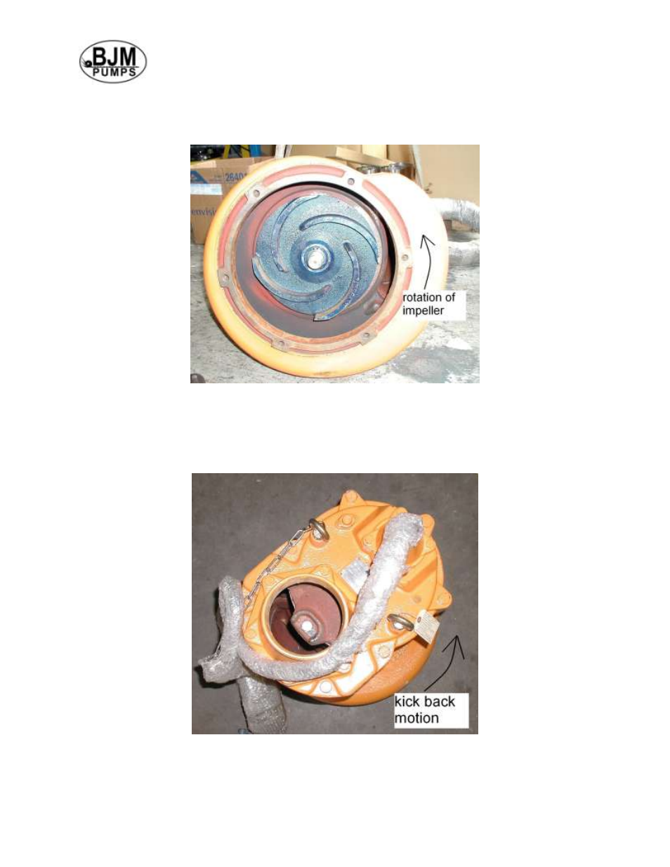 BJM Pumps KZN (R) SERIES HEAVY DUTY AGITATOR TOP DISCHARGE Electric Submersible Pumps User Manual | Page 8 / 33