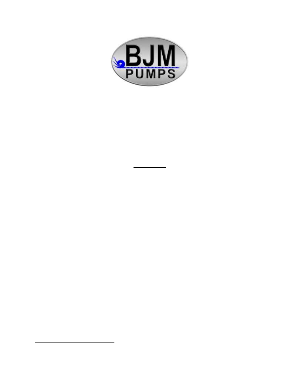 BJM Pumps KZE550-575 User Manual | 28 pages