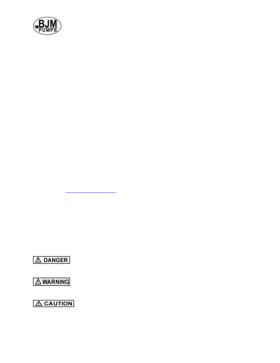 Introduction | BJM Pumps SX75CSS-575T User Manual | Page 4 / 37