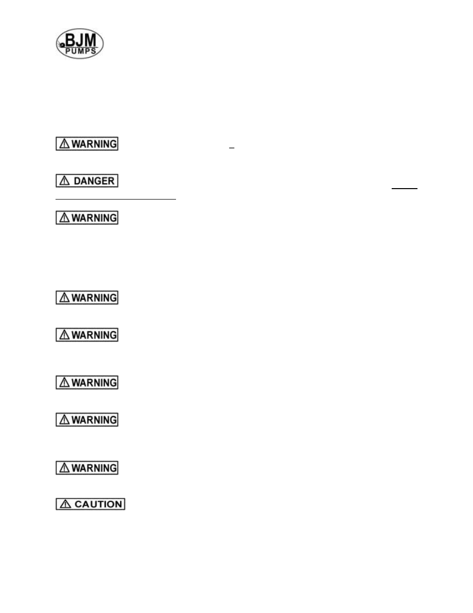 Safety | BJM Pumps SX75CSS-575T User Manual | Page 5 / 37
