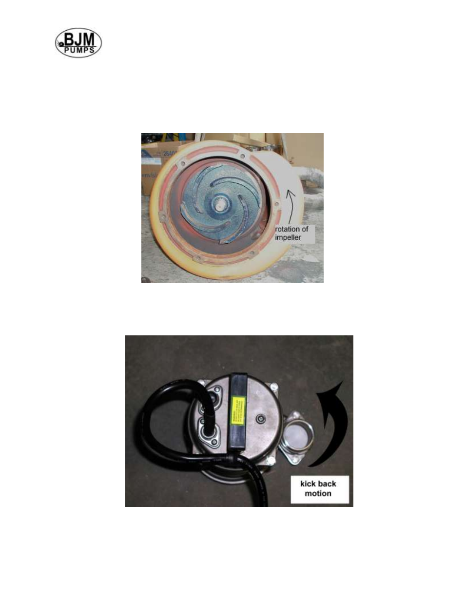 Pump rotation | BJM Pumps JX-F SERIES SIDE DISCHARGE Electric Submersible Pumps User Manual | Page 9 / 38