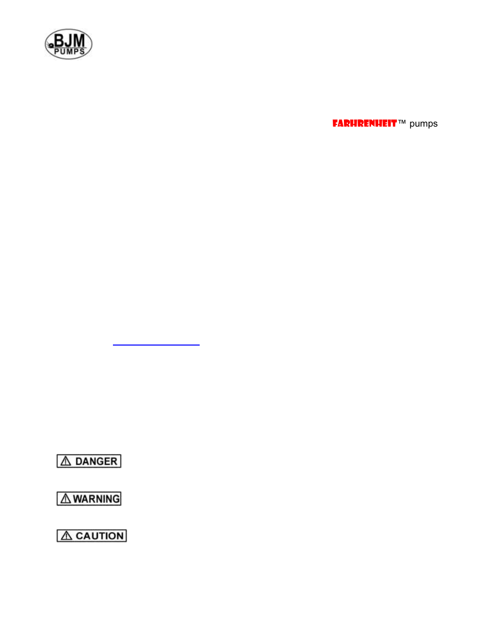 Introduction | BJM Pumps JX1500HSS-F User Manual | Page 4 / 29