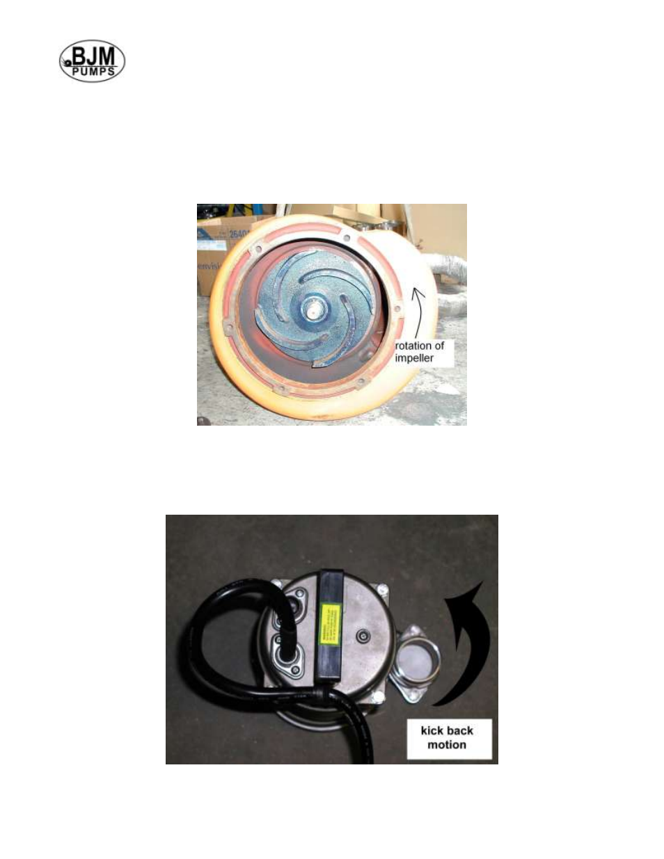 Pump rotation | BJM Pumps SX75CSSF-575T User Manual | Page 8 / 32