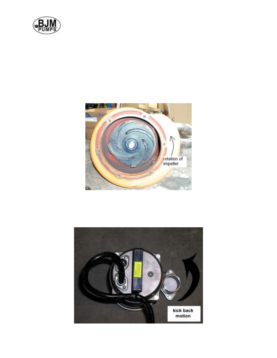 Pump rotation | BJM Pumps SX1500CSS-F User Manual | Page 8 / 26