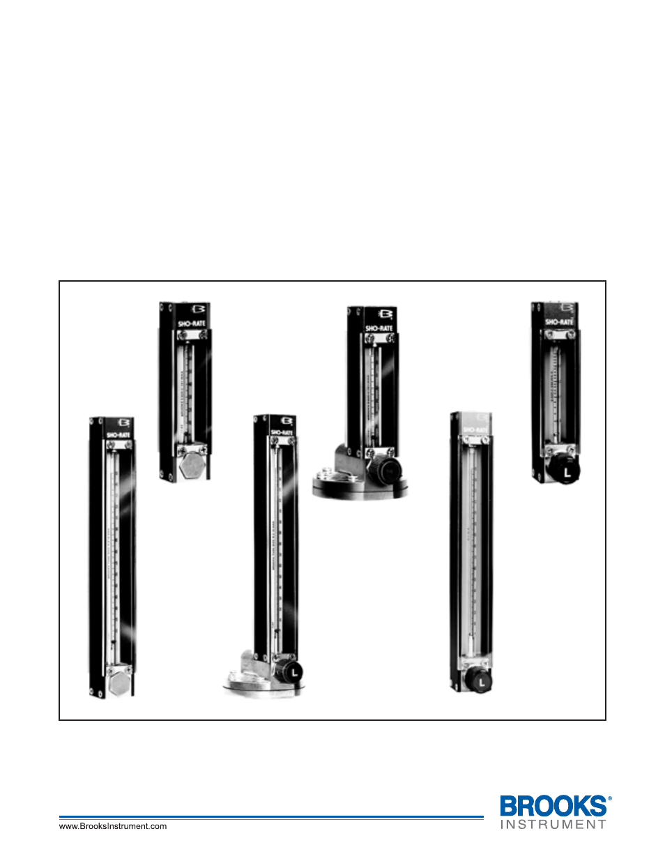 Brooks Instrument 1355 User Manual | 46 pages