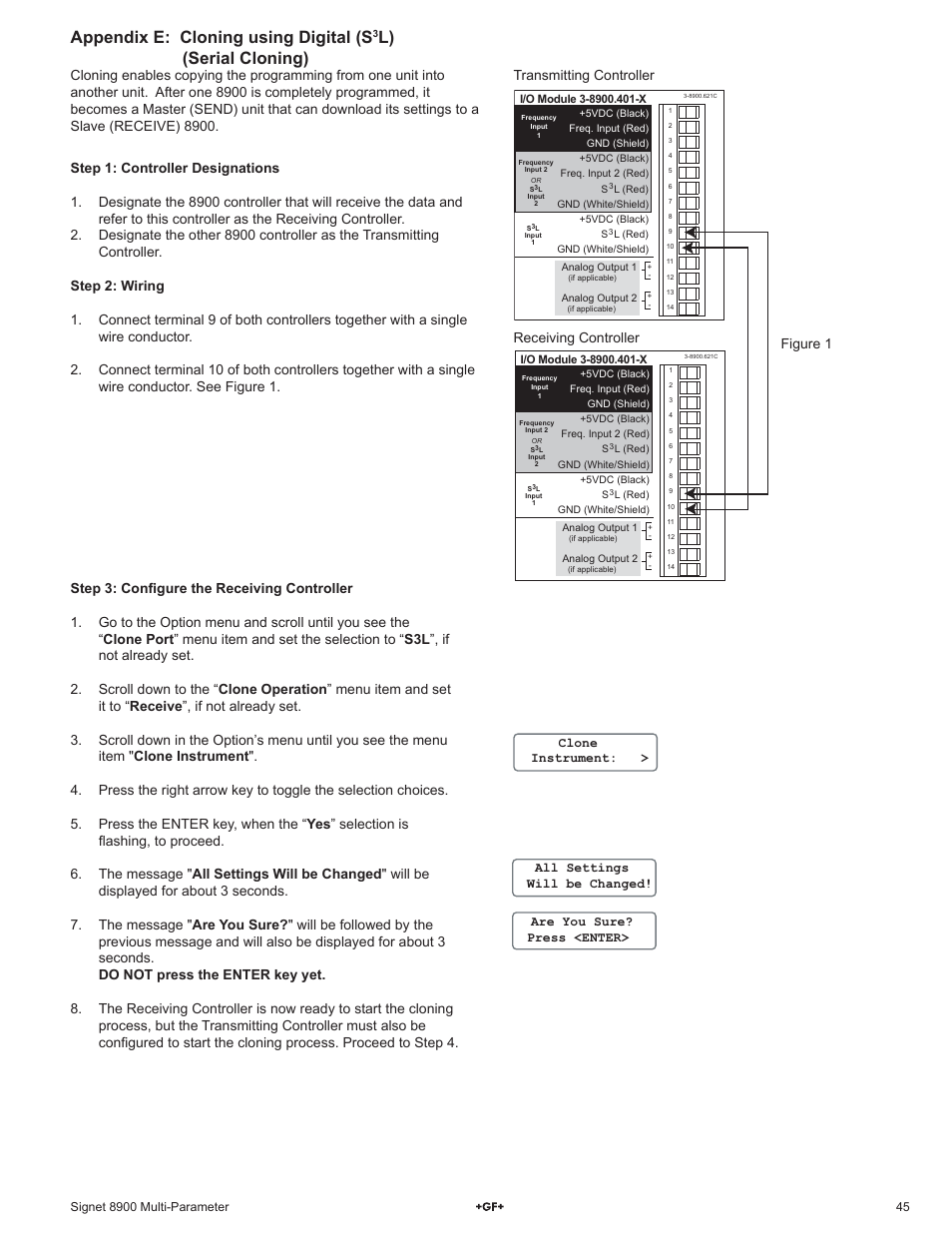 Appendix e: cloning using digital (s, L) (serial cloning) | GF Signet 8900 Multi-Parameter Controller User Manual | Page 45 / 52