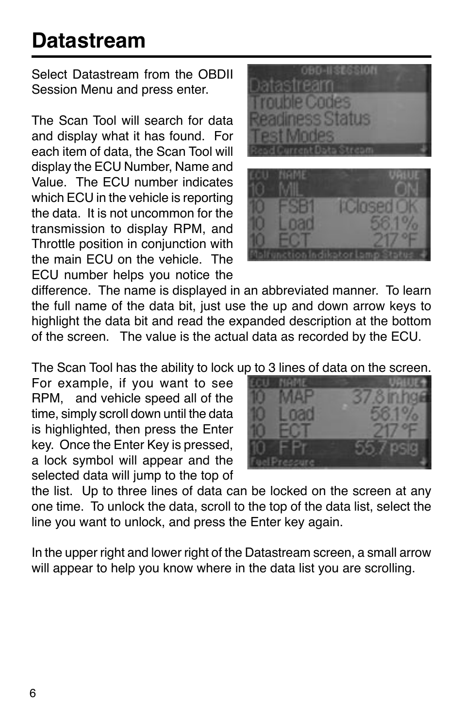 Datastream | GxT Ferret 31 Scan Tool User Manual | Page 6 / 16