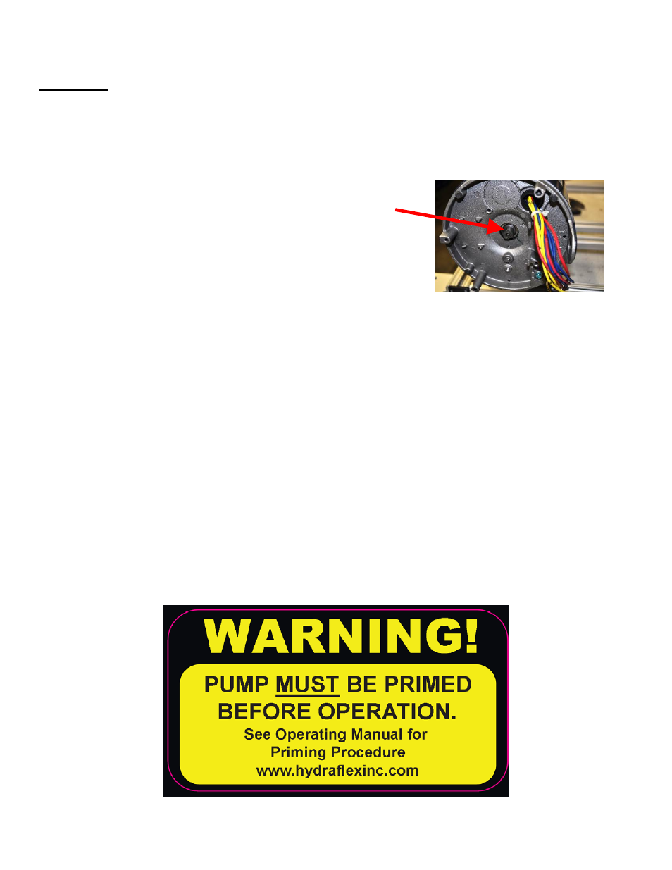 Startup, Pump priming instructions, Ensure that pump rotation is correct | Hydra-Flex Aqua-Lab MD Installation Manual User Manual | Page 13 / 14