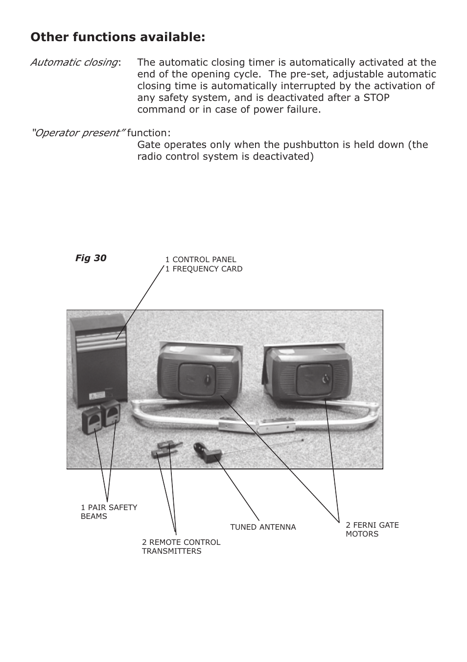 Other functions available | CAME FerniE-P Kit User Manual | Page 30 / 36