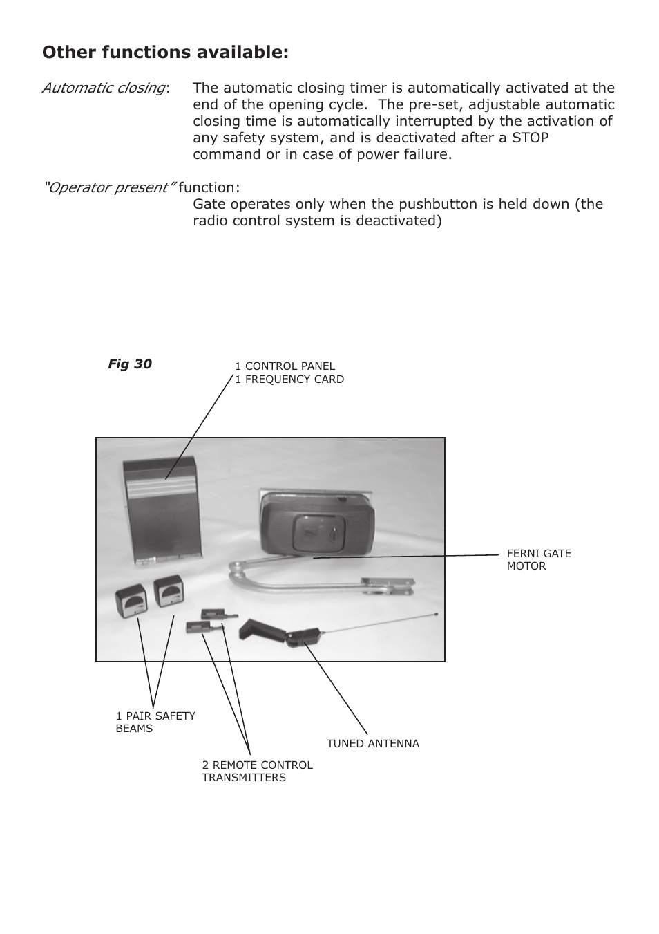 Other functions available | CAME FerniE-S Kit User Manual | Page 31 / 36