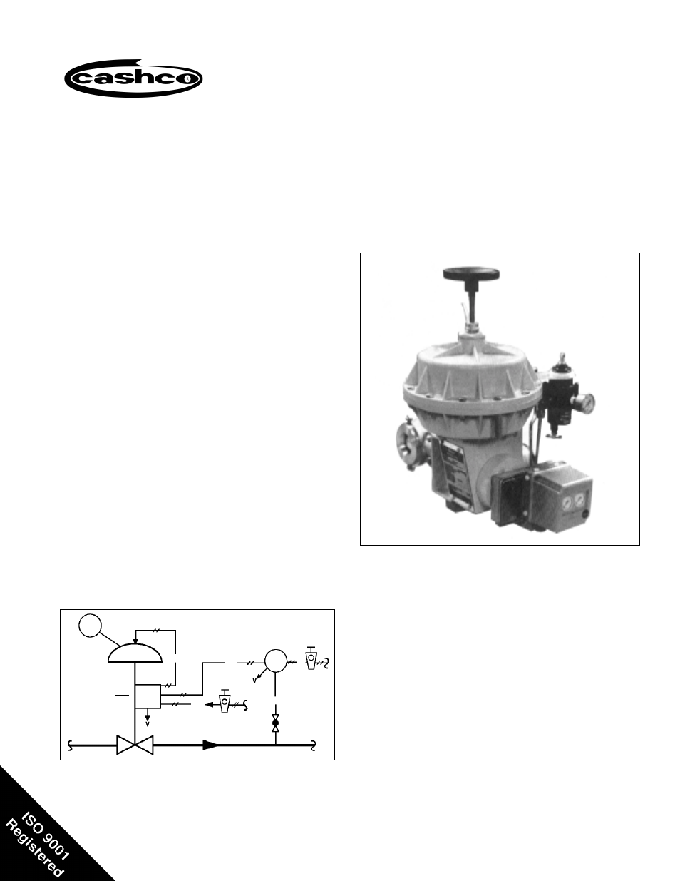 Cashco 9540R P/P User Manual | 16 pages