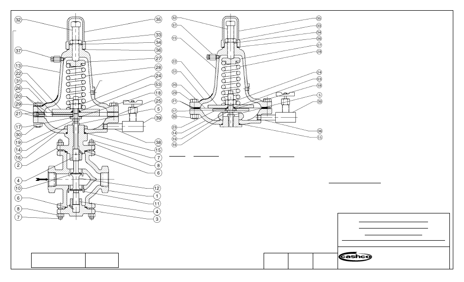 Cashco 8310HP - Differential User Manual | 1 page
